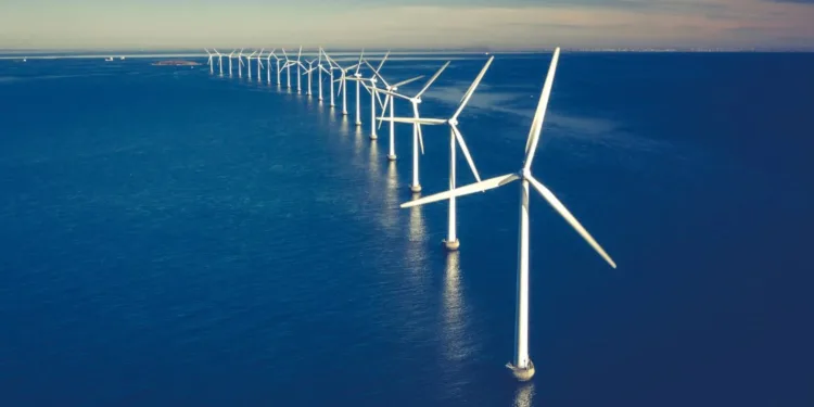 Environmentalists go to court to stop Avangrid’s US offshore wind projects