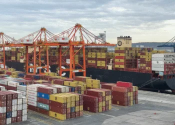 Poland’s Baltic Container Terminal welcomes new MSC service