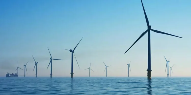 South Korea reveals 1.25 GW offshore wind tender