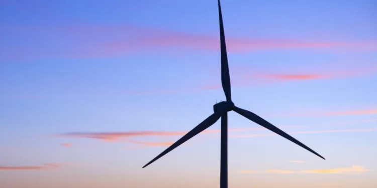 Brazil issues first offshore wind license to 24.5MW pilot project
