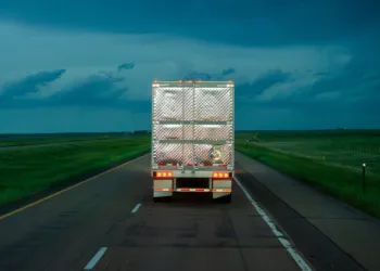 Guess less, save more: Smarter reefer management that pays off 