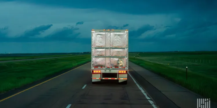 Guess less, save more: Smarter reefer management that pays off 