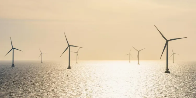 Belgium delays 700MW offshore wind farm tender