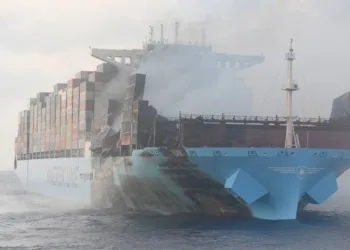 Excess, unidentified baggage in containers is breaking the back of shipowners