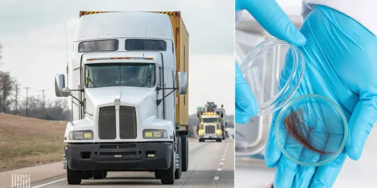 Legislation seeks to add hair drug tests to FMCSA’s database