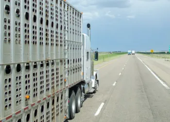 New bill seeks more relief for livestock haulers