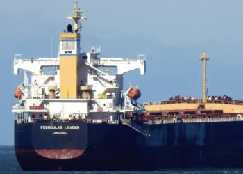 Safe Bulkers offloads ageing kamsarmax