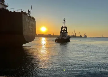 Stranded Ukrainian seafarers to get remote fix in paperwork overhaul