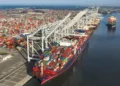Savannah containers post best FY since pandemic