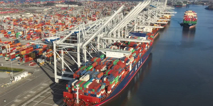 Savannah containers post best FY since pandemic