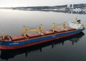 Transworld forms handy pool in Dubai