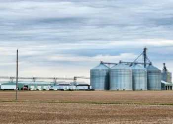 What Brazil’s ‘Egg King’ Buying Hillandale Farms Means for US Eggs and Freight