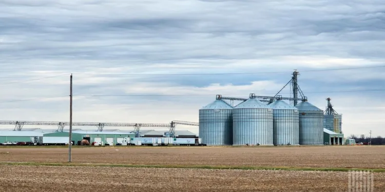 What Brazil’s ‘Egg King’ Buying Hillandale Farms Means for US Eggs and Freight