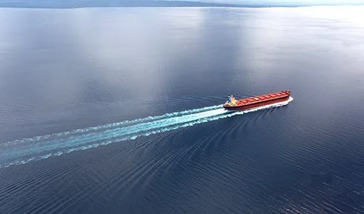 Asyad adds Japanese cape to diverse fleet