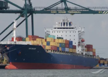 Container ship commercial manager turns ship owner