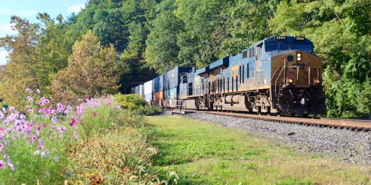 CSX CEO: Obsession with profit margins stunting railroads’ growth