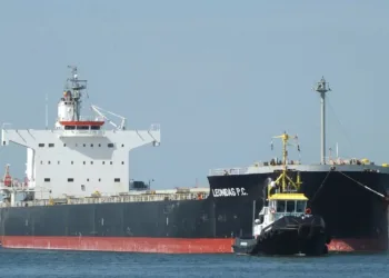 Diana Shipping charters out kamsarmax to NYK Line