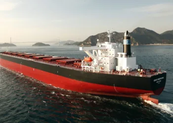Diana Shipping doubles down on Genco stake with $103m outlay
