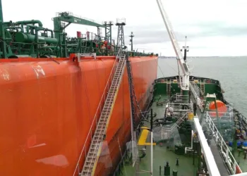 Don’t let the ships of the future run on deforestation