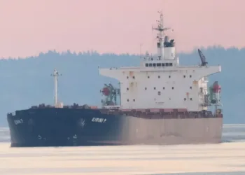 EuroDry sheds 21-year-old panamax