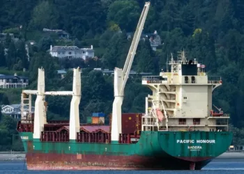 Fujian Highton picks up MPP brace from Braren Roerd