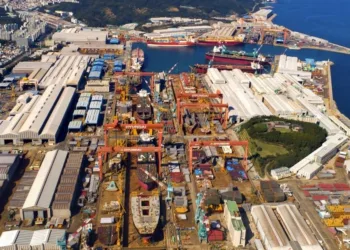 HD Hyundai union boss scales crane as wage talks collapse