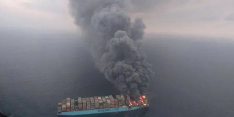 World Shipping Council deploys AI in fight against misdeclared cargoes