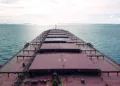 China’s Agricore adds cape from Primebulk