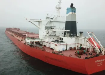 Chinese seek out vintage capesizes