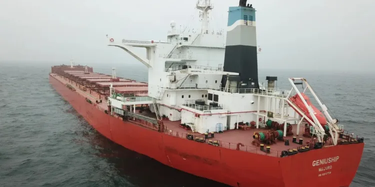 Chinese seek out vintage capesizes