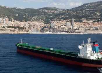 Monaco owner Transocean breaks into boxships with newbuilds in China