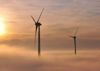 Ocean Winds sells stake in French offshore wind farm to Allianz for $232m