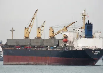 Phoenix Shipping Wuhan plots $60m bulker fleet expansion