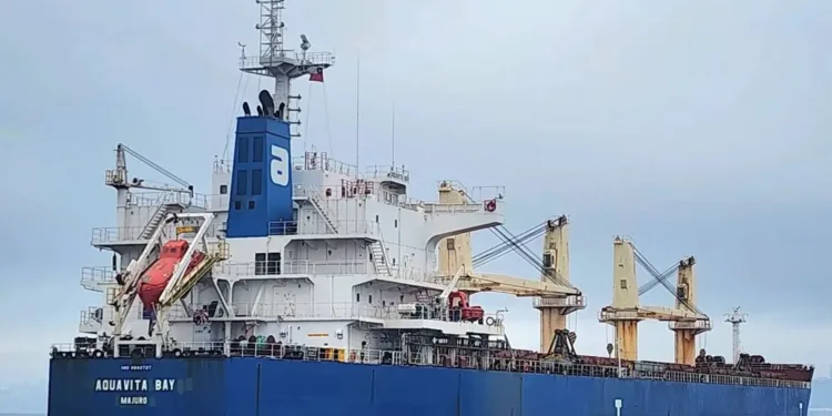 Price gap widens between Japanese and Chinese-built tonnage