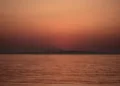 Sea-Intelligence: Impact of Red Sea re-opening