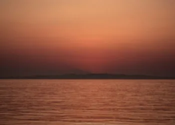 Sea-Intelligence: Impact of Red Sea re-opening