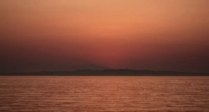 Sea-Intelligence: Impact of Red Sea re-opening