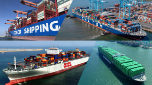 Ocean Alliance ships