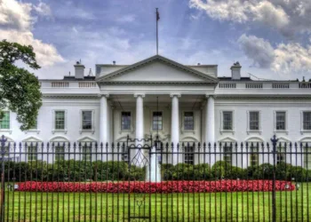 USTR fees could impact 35% of key sectors’ ships: BIMCO