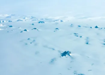 Clean Arctic Alliance urges action on COP30 Black Carbon Pledge