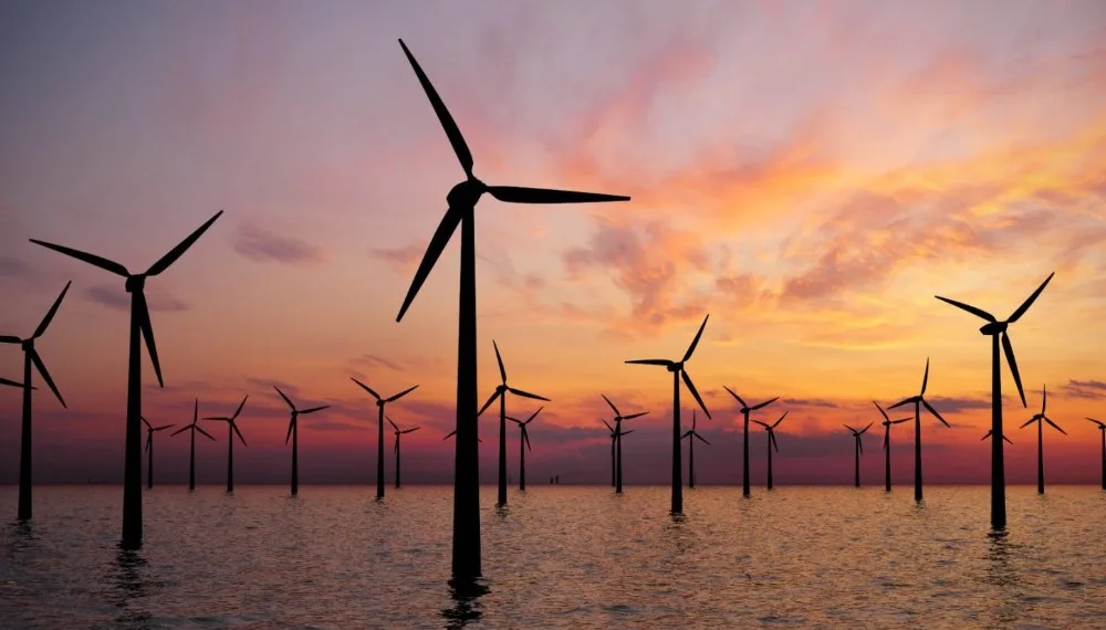 Developers shun Dutch 1GW offshore wind auction