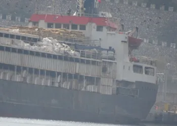 Live Animal Export: It’s 2025, why are hairy seafarers abandoned and left to linger and die onboard?