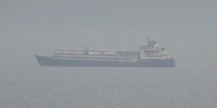Livestock carrier ‘calamity’ unfolds off Turkey