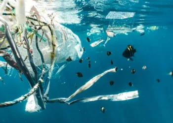 Maritime leaders launch MACS to combat ocean plastic pollution