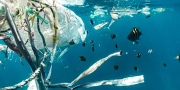 Maritime leaders launch MACS to combat ocean plastic pollution