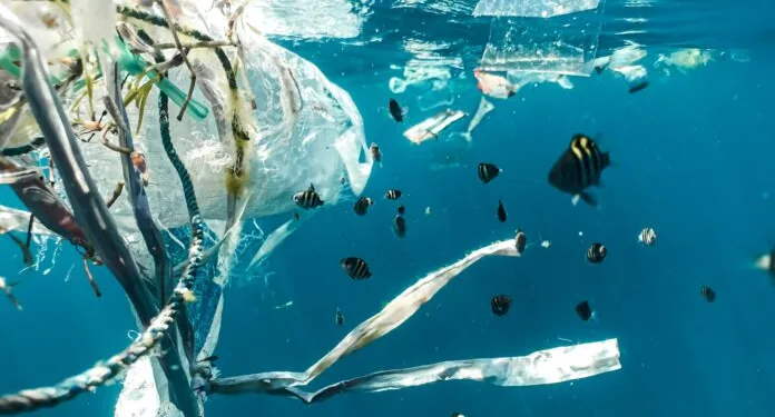 Maritime leaders launch MACS to combat ocean plastic pollution