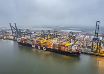 MSC bets on feeders promoting connectivity over capacity