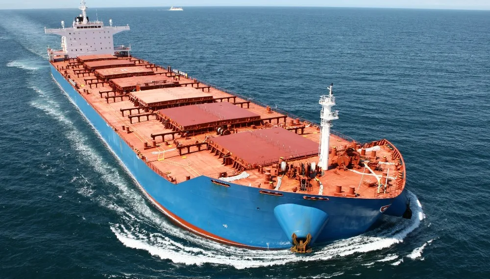 Norden names new dry cargo head