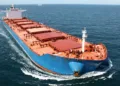 Norden names new dry cargo head