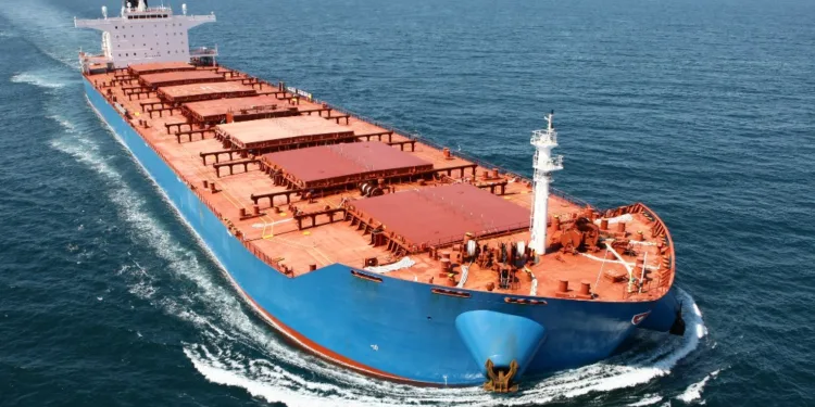 Norden names new dry cargo head